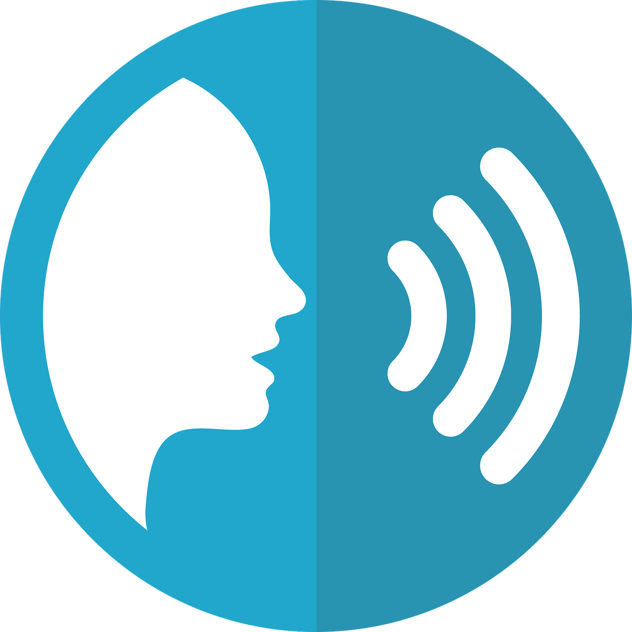 speech to pdf